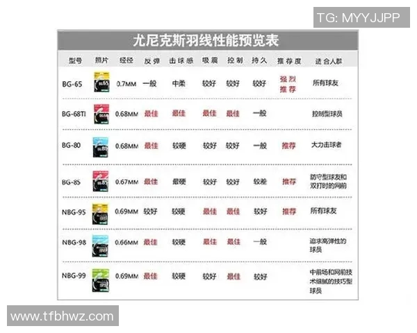 广州羽毛球队配合技巧深度解析与其他球队的对比分析 广州羽毛球队配合技巧深度解析与其他球队的对比分析