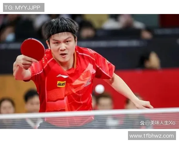 成都乒乓球队团队协作的独特优势与其他球队的对比分析 成都乒乓球队团队协作的独特优势与其他球队的对比分析