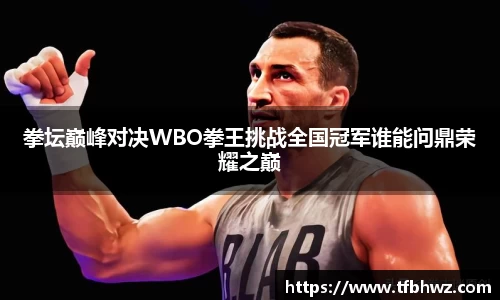 拳坛巅峰对决WBO拳王挑战全国冠军谁能问鼎荣耀之巅