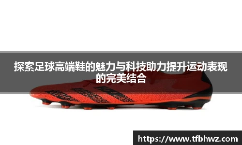 CC网投官方网站